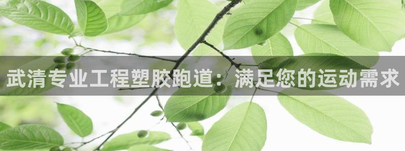 z6尊龙凯时ag旗舰厅：武清专业工程塑胶跑道：满足您