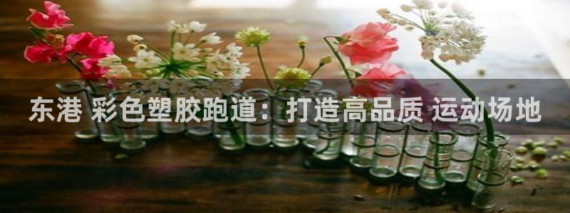 凯时平台官网RA来就送38：东港 彩色塑胶跑道：打造高品质 运动场地