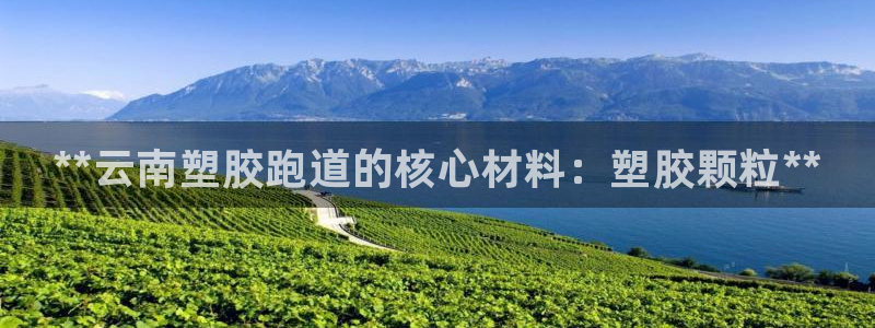 尊龙游戏官方网:**云南塑胶跑道的核心材料:塑胶颗粒**