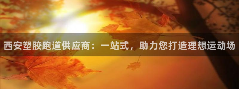 尊龙凯时登陆网址:西安塑胶跑道供应商:一站式,助力您打造理想